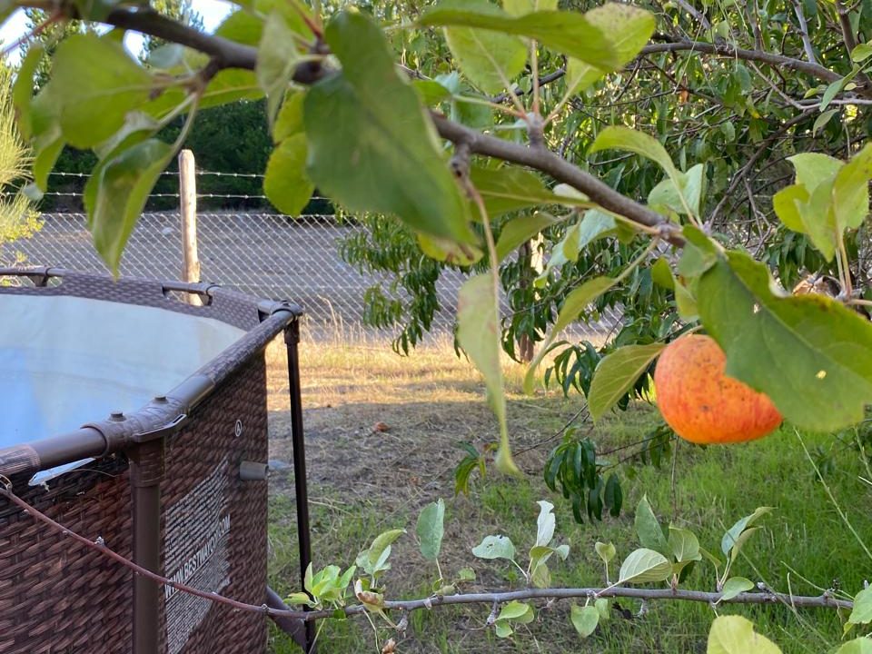 WhatsApp Image 2026-04-24 at 12.43.31 (12)