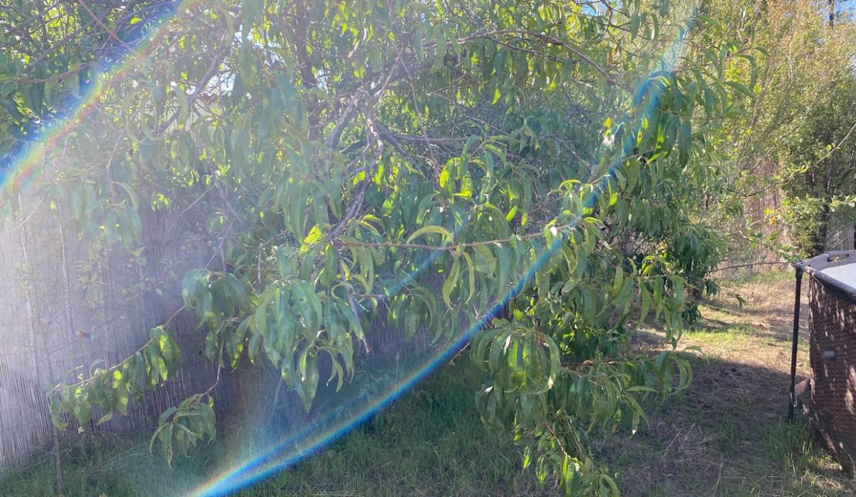 WhatsApp Image 2026-04-24 at 12.43.31