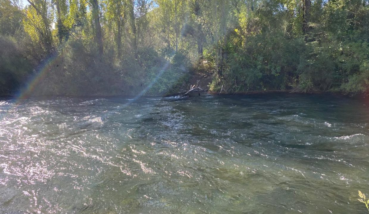 WhatsApp Image 2026-04-24 at 12.43.31 (2)