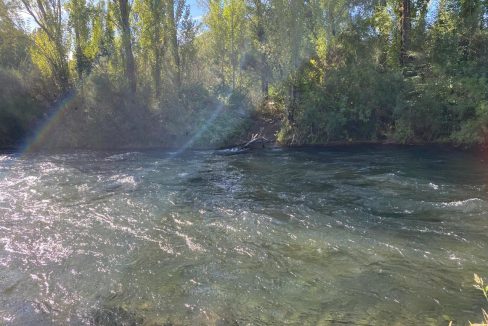 WhatsApp Image 2026-04-24 at 12.43.31 (2)