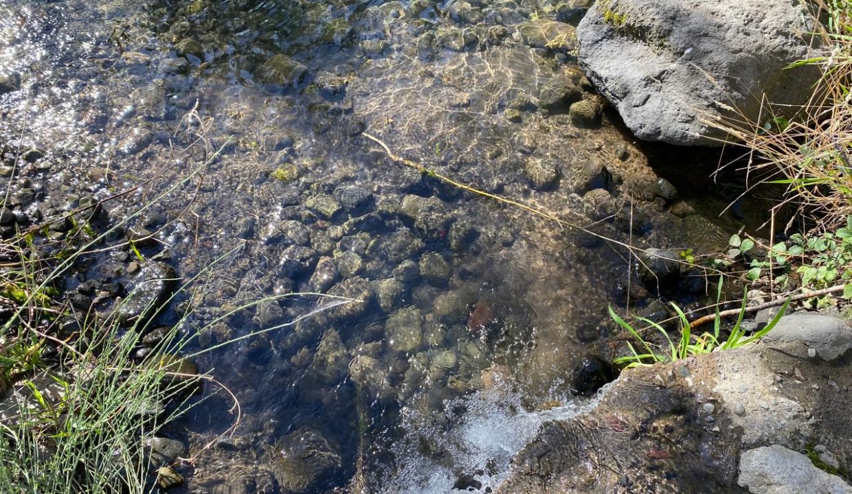 WhatsApp Image 2026-04-24 at 12.43.31 (3)