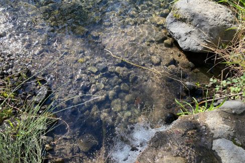 WhatsApp Image 2026-04-24 at 12.43.31 (3)