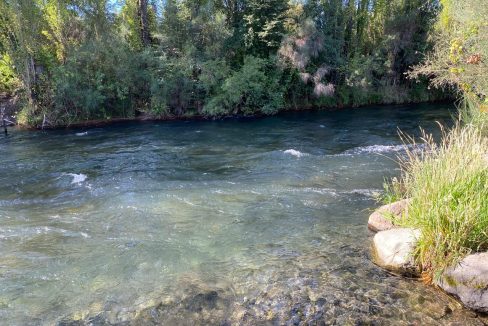 WhatsApp Image 2026-04-24 at 12.43.31 (4)