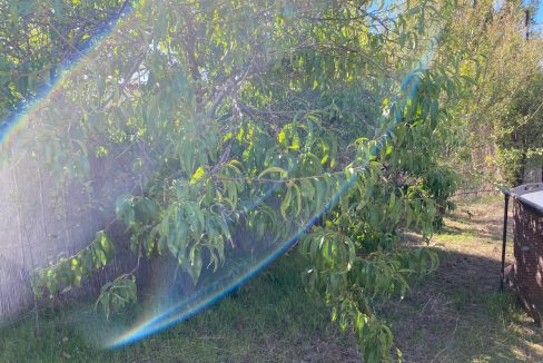 WhatsApp Image 2026-04-24 at 12.43.31