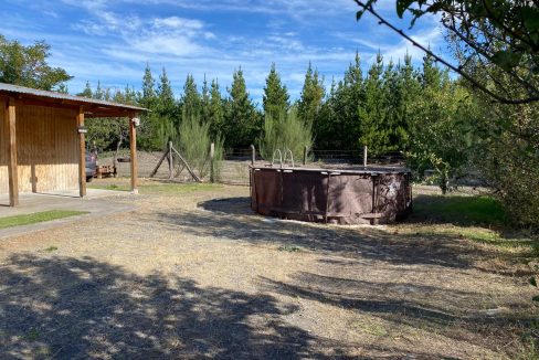 WhatsApp Image 2026-04-24 at 12.43.31 (7)